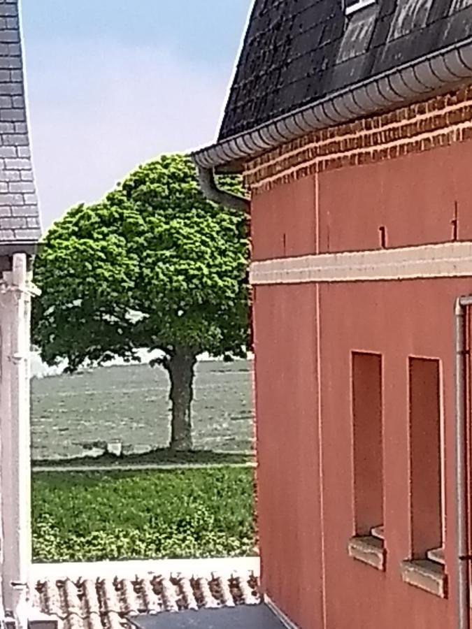 Au Petit Bonheur Appartement Saint-Valéry-sur-Somme Buitenkant foto